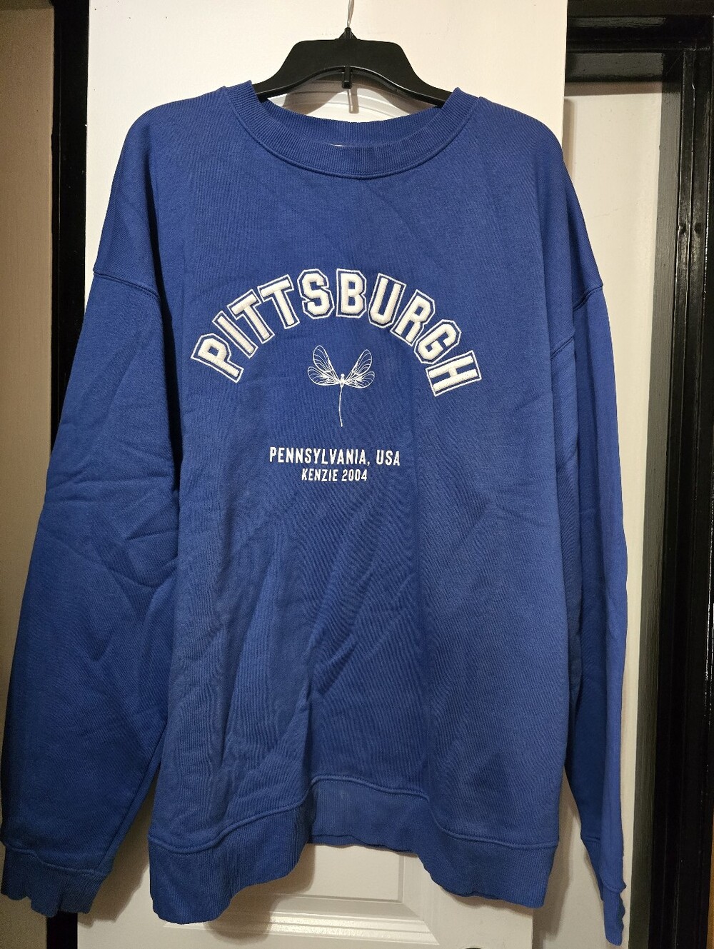 kenzie+Francescas's Women's Blue Oversized Sweatshirt W Pittsburgh Embroidered